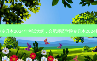 湘南学院专升本2024年考试大纲，合肥师范学院专升本2024招生计划