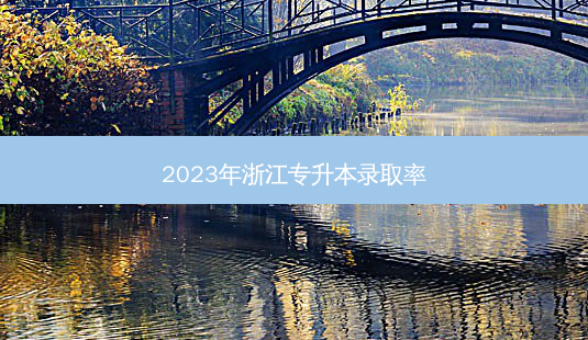 2023年浙江专升本录取率-第1张图片-美培扬帆专升本